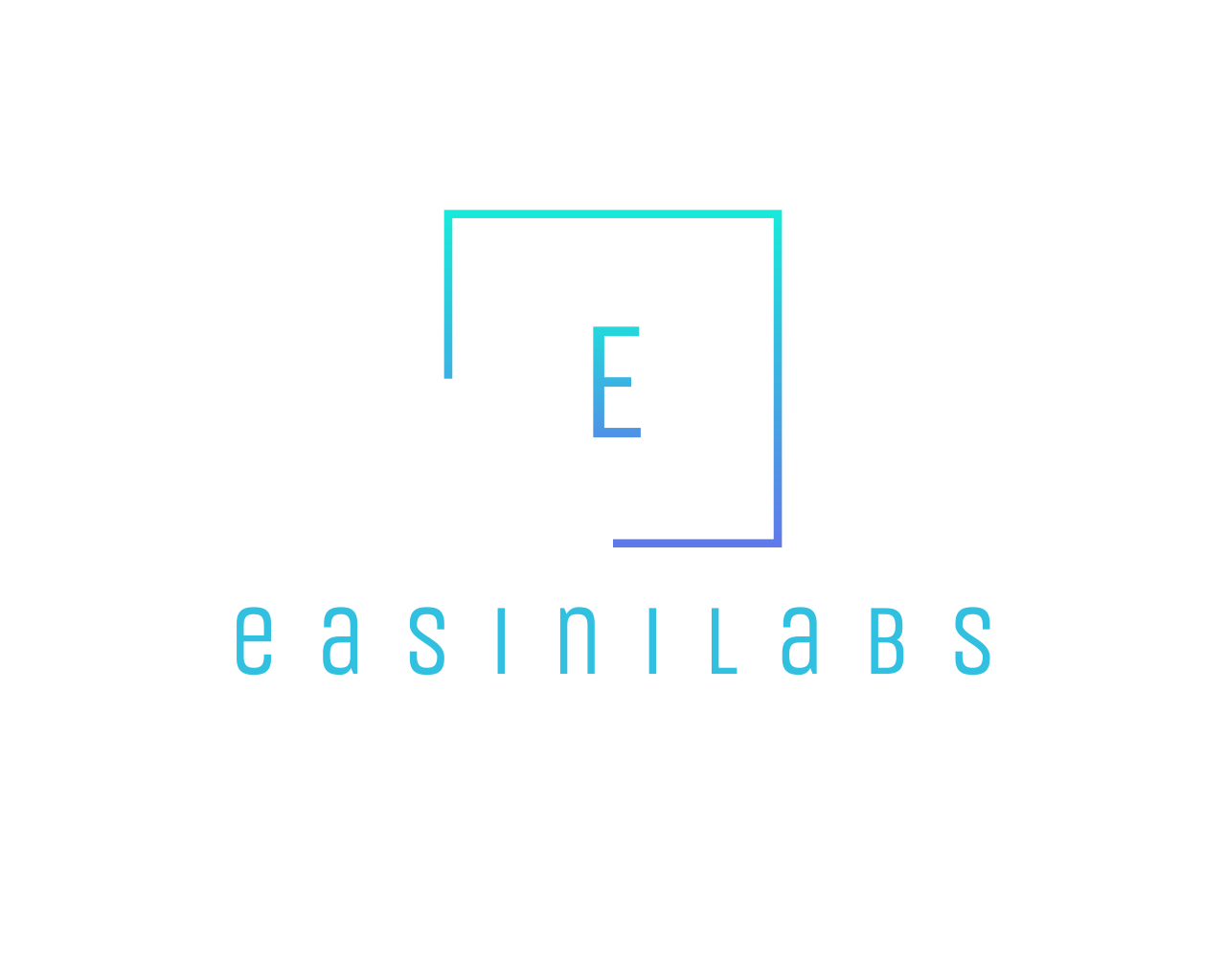 easinilabs logo